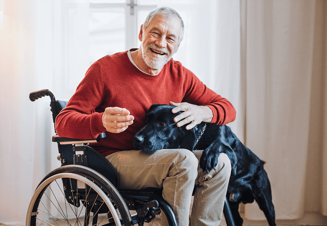 Man smiles in wheelchair with dog on lap